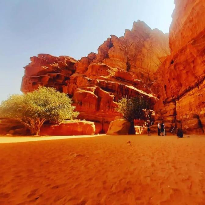 דירות וואדי רם Saleem With Jeep Tour מראה חיצוני תמונה